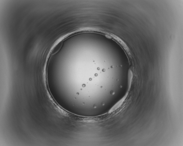 X0000116651199200912141249