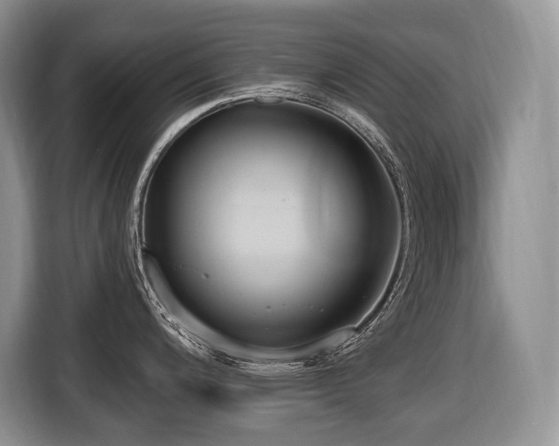 X0000116651200200912141249