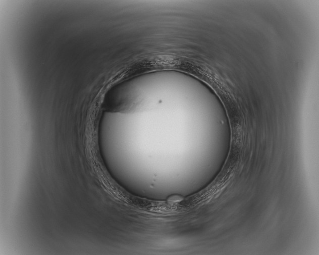 X0000116651201200912141248