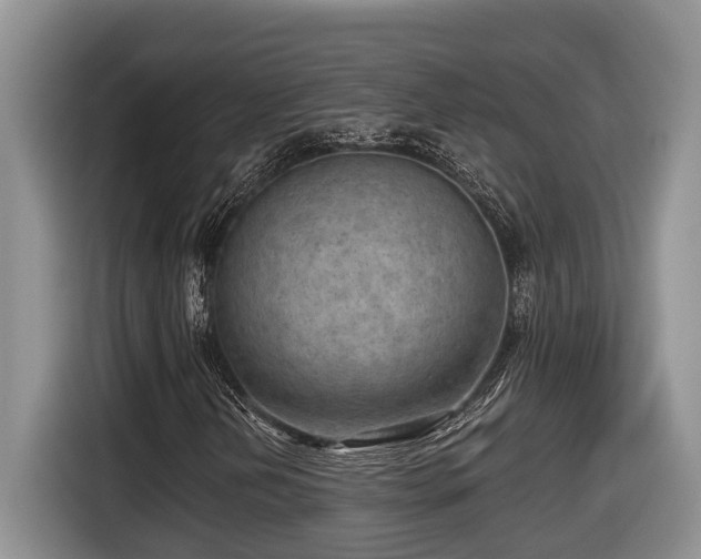 X0000116651202200912141248