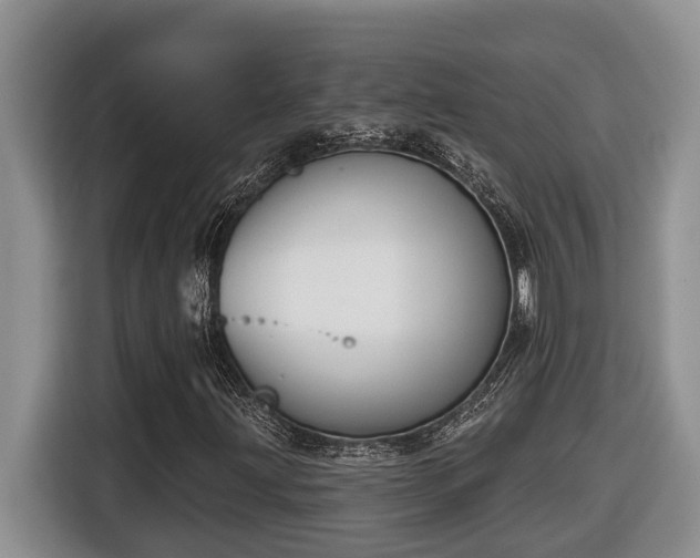 X0000116651203200912141248