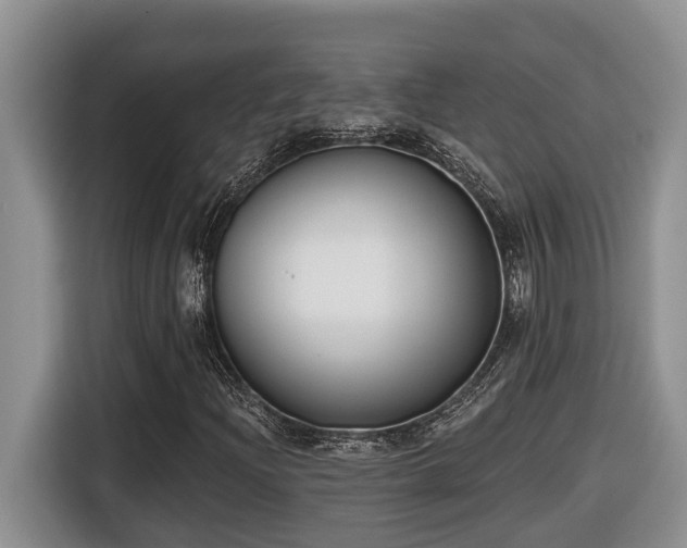 X0000116651204200912141248