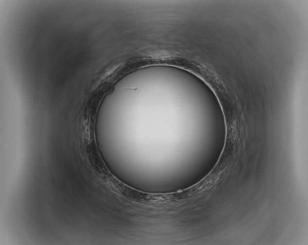 X0000116651205200912141248