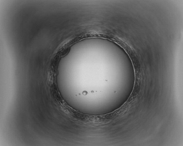 X0000116651207200912141248