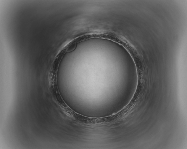 X0000116651208200912141248