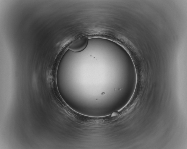 X0000116651210200912141248