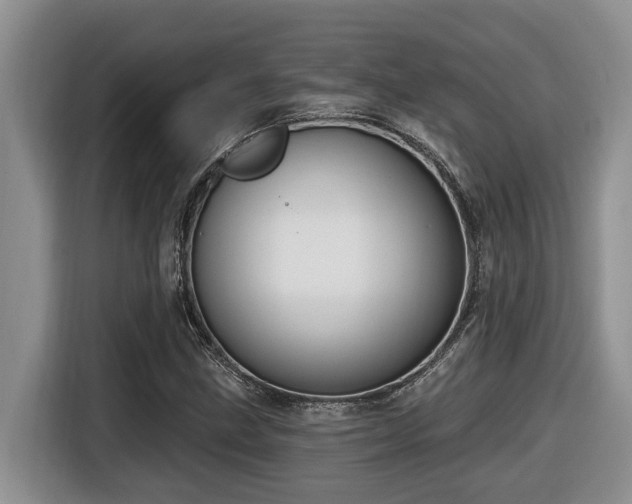 X0000116651211200912141248