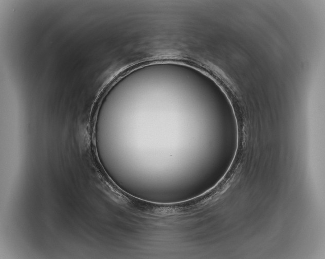 X0000116651212200912141248