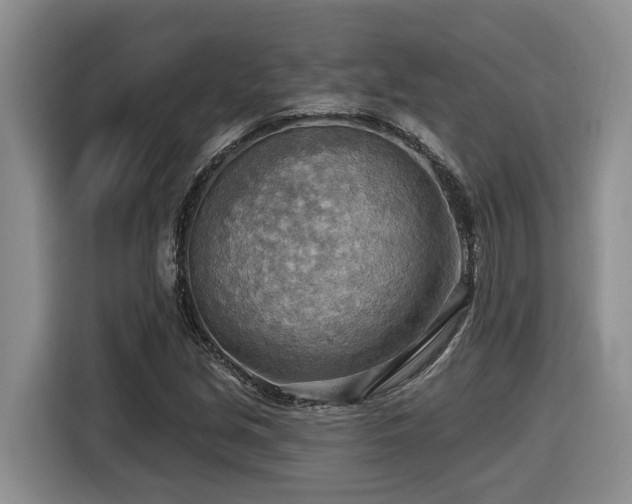 X0000116651213200912141248