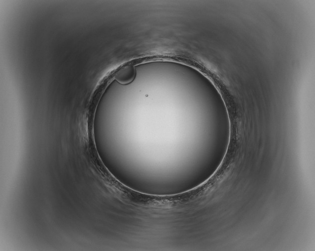 X0000116651214200912141249