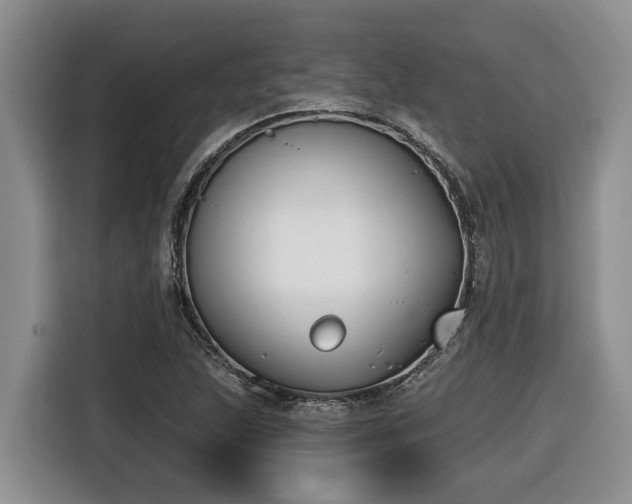 X0000116651215200912141249