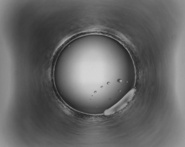 X0000116651216200912141249