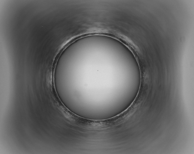 X0000116651220200912141249