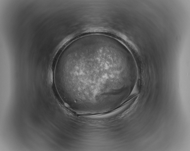X0000116651221200912141249