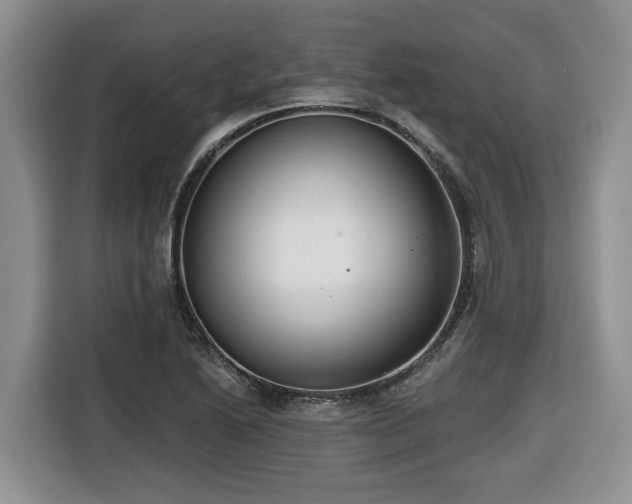 X0000116651222200912141249