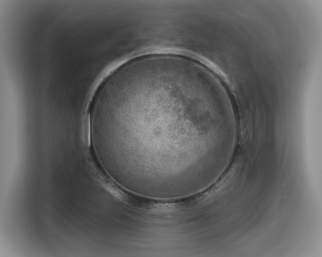X0000116651223200912141249