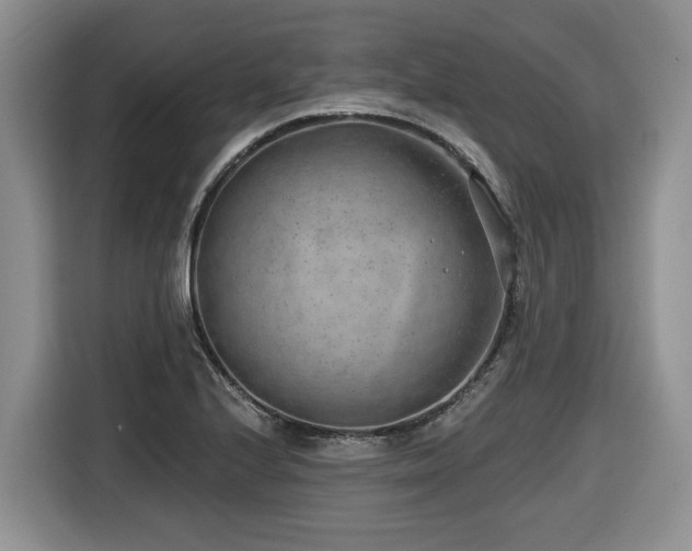 X0000116651224200912141249