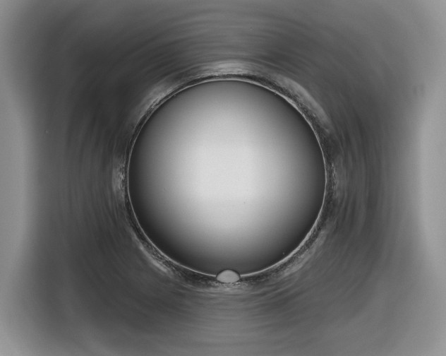 X0000116651225200912141249