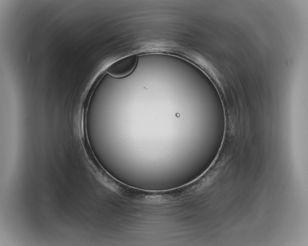 X0000116651227200912141249