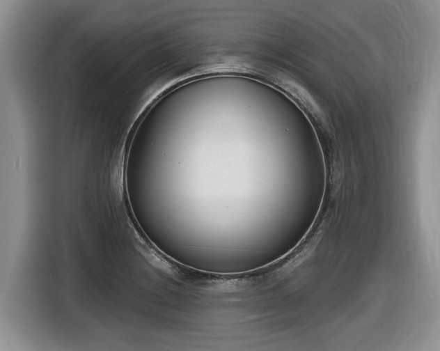 X0000116651228200912141249