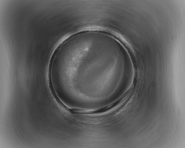X0000116651229200912141249
