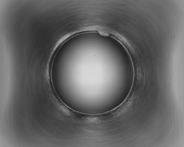 X0000116651230200912141249