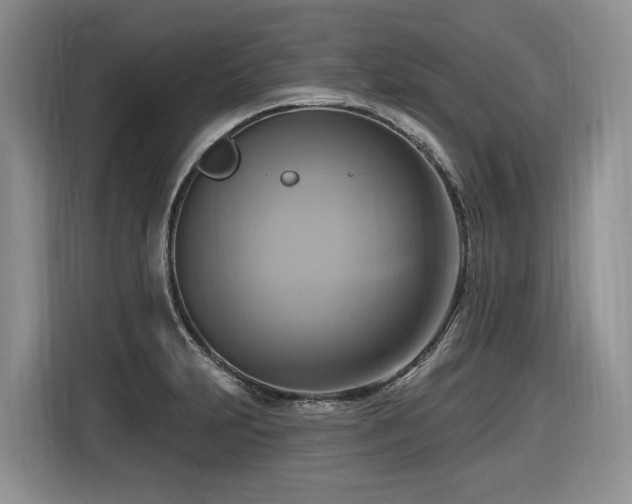 X0000116651231200912141249