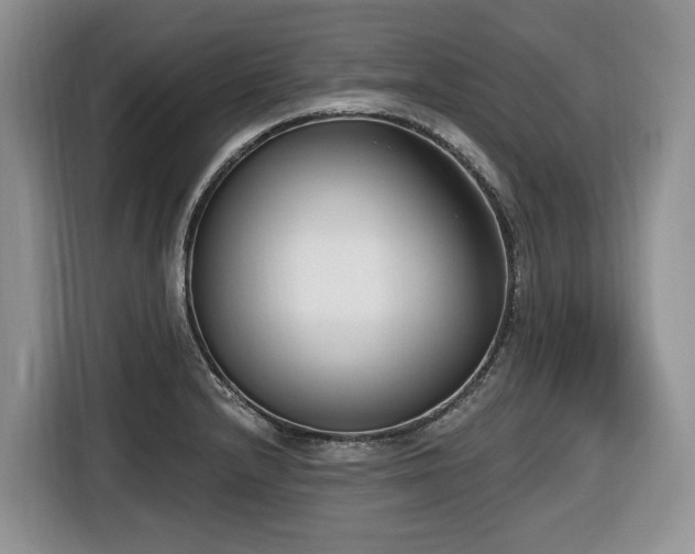 X0000116651232200912141249