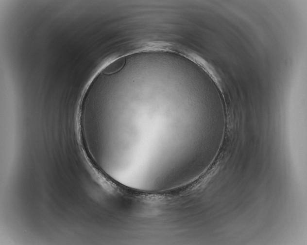 X0000116651235200912141249