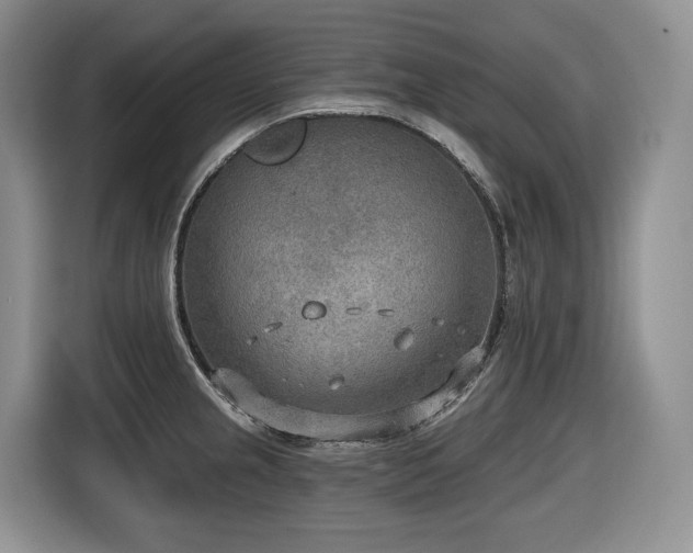 X0000116651237200912141249