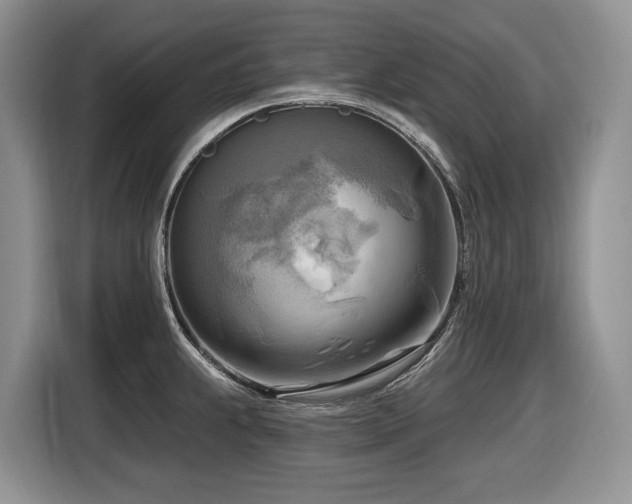 X0000116651239200912141249