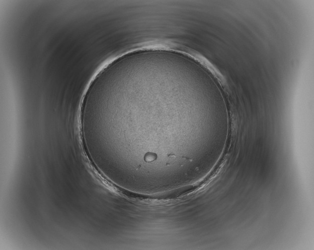 X0000116651240200912141249