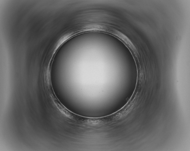 X0000116651242200912141249