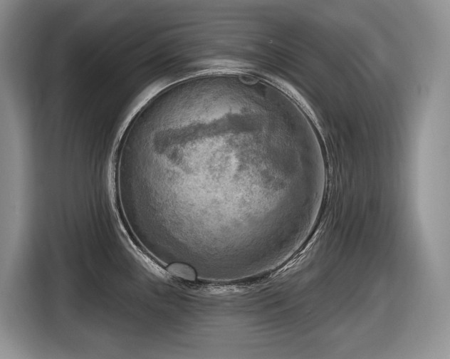 X0000116651243200912141249
