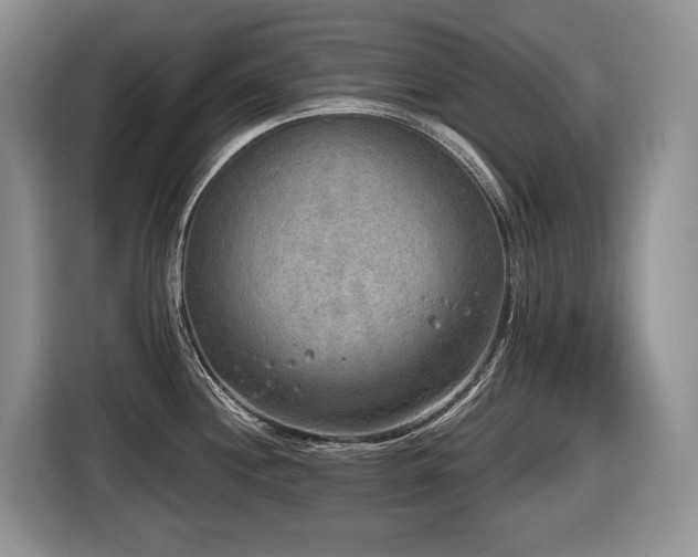 X0000116651244200912141249
