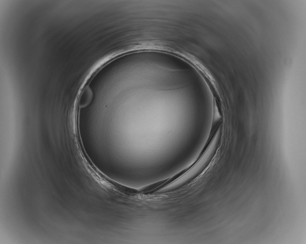 X0000116651246200912141249