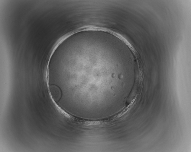 X0000116651247200912141249