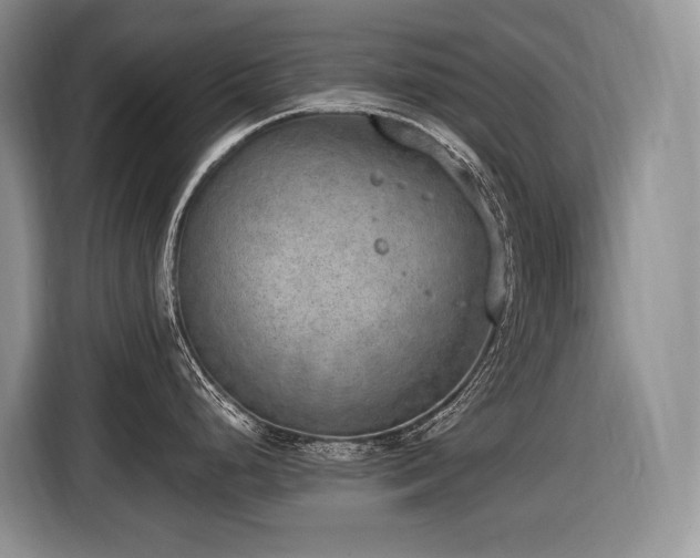 X0000116651248200912141249