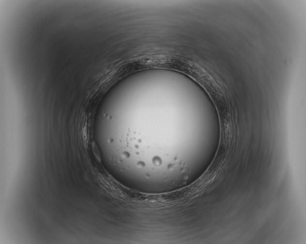X0000116651250200912141248