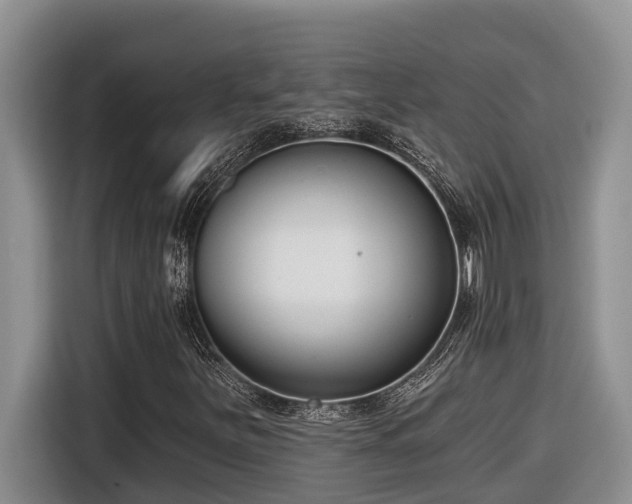 X0000116651251200912141248