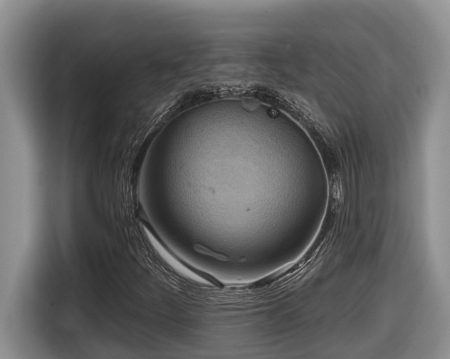 X0000116651252200912141248