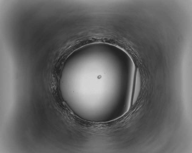 X0000116651253200912141248