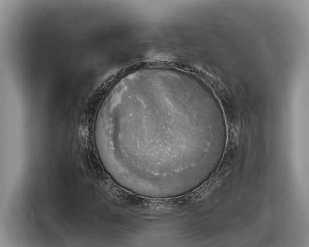 X0000116651254200912141248
