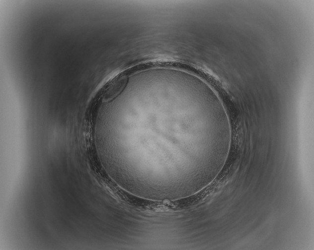 X0000116651255200912141248