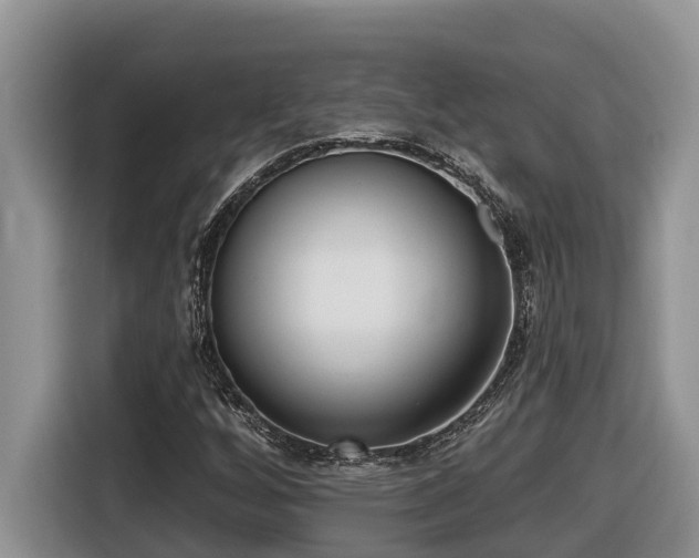 X0000116651256200912141248