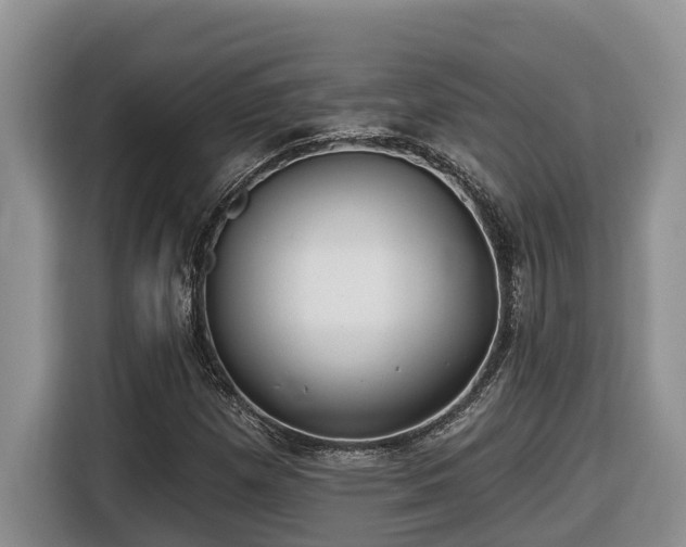 X0000116651257200912141248
