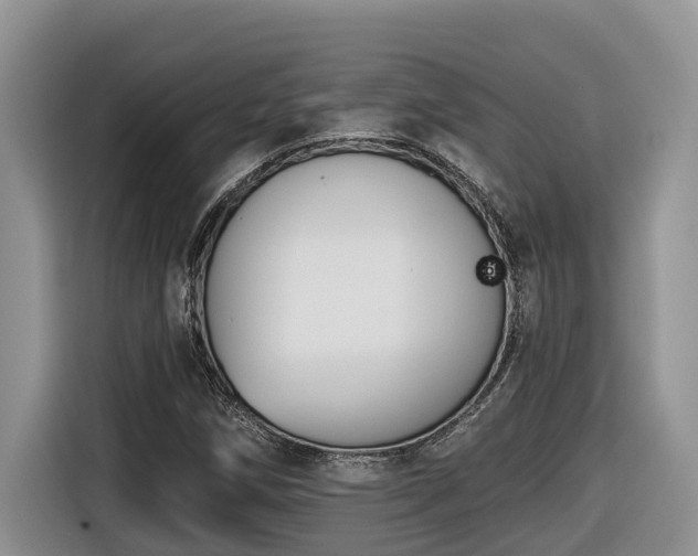 X0000116651258200912141248