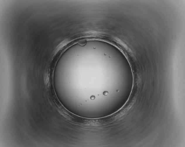 X0000116651259200912141248