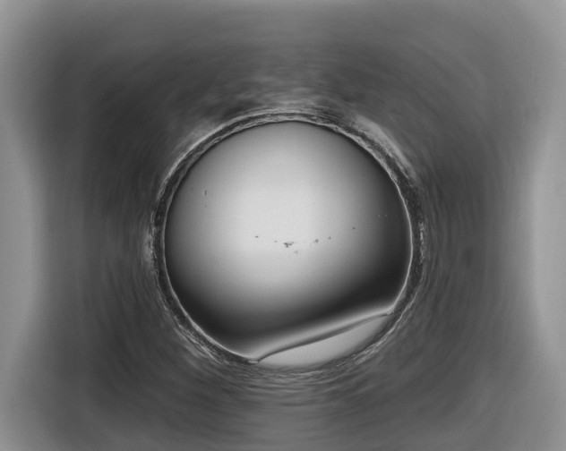 X0000116651260200912141248