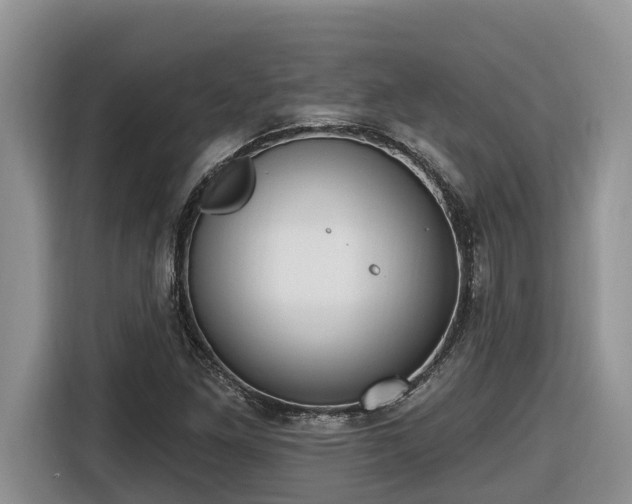 X0000116651261200912141248